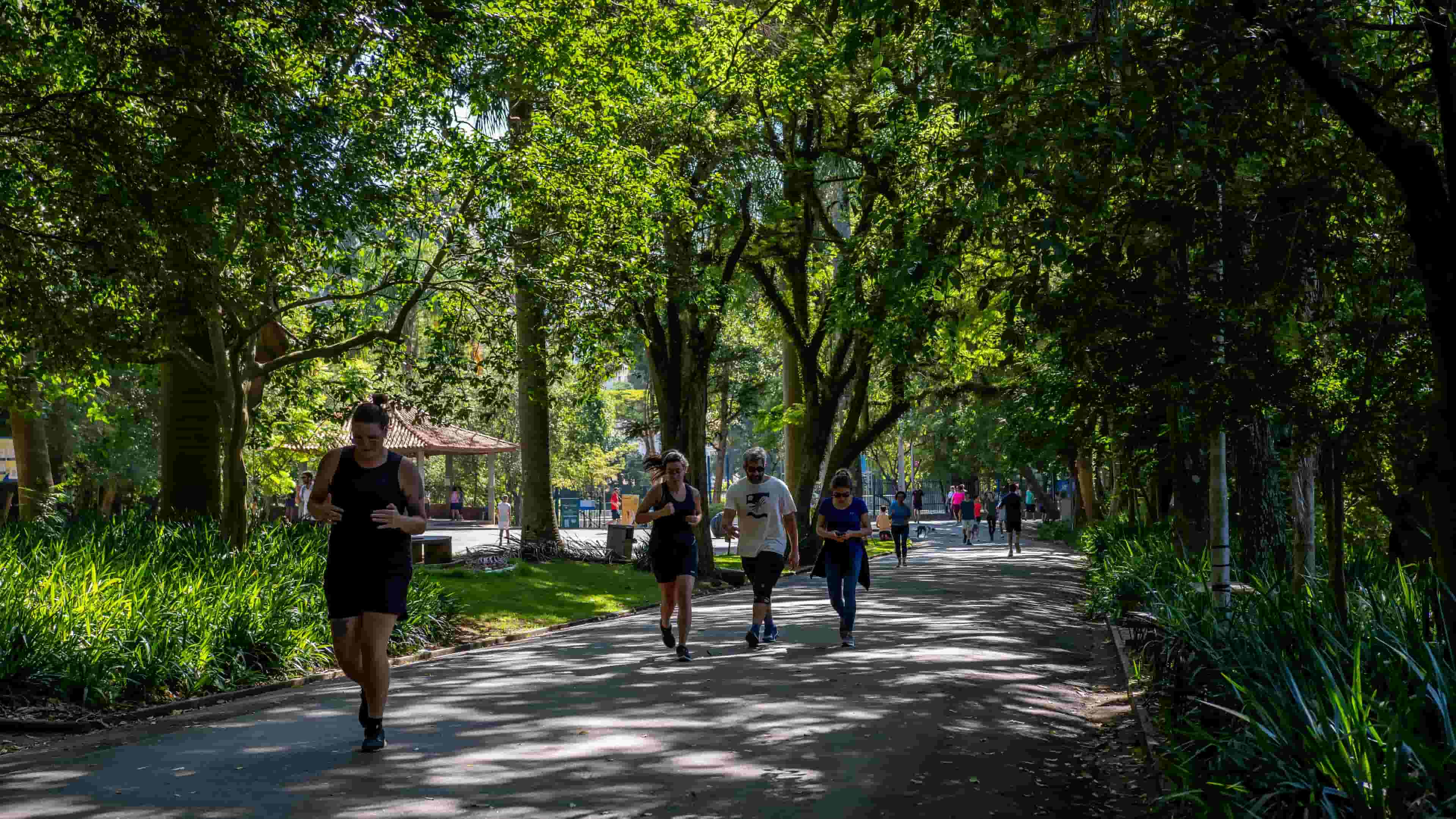 Parque da Aclimação