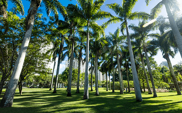 foto-lagoon-park-palmeiras-peninsula-be-peninsula.png
