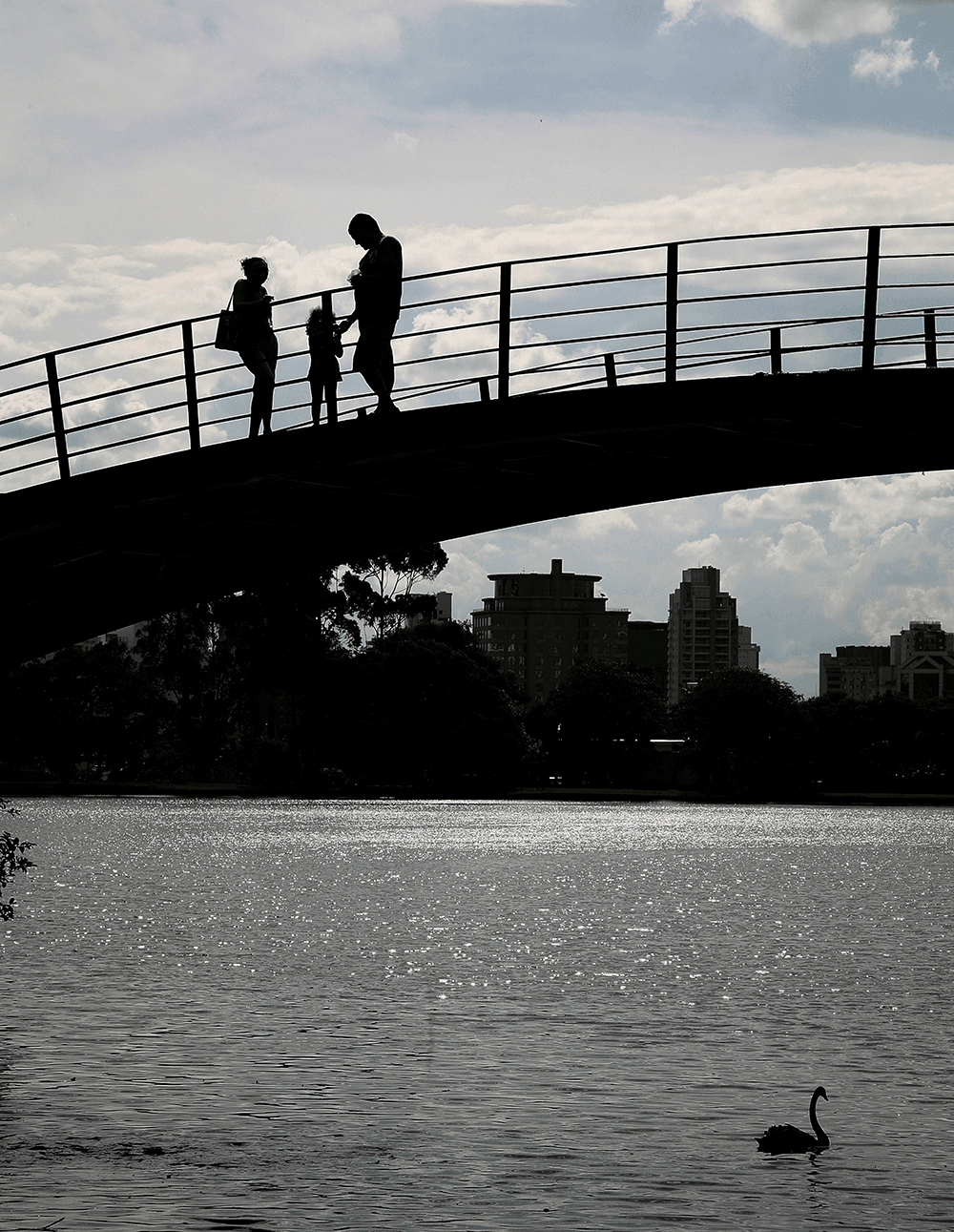 ibirapuera8.png