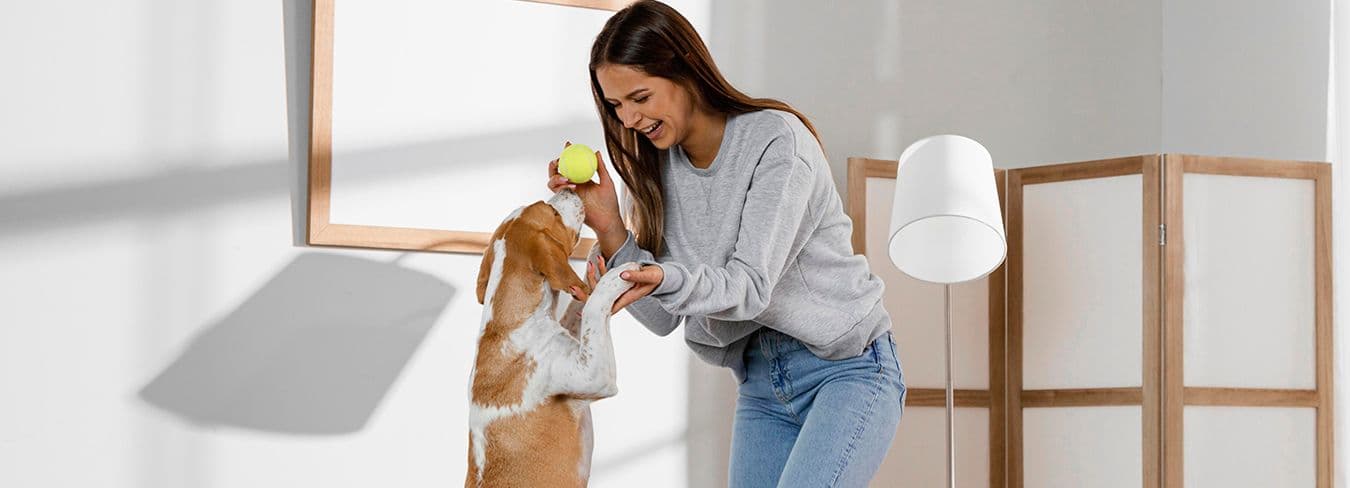 Cachorro em apartamento: dicas para manter seu pet ativo