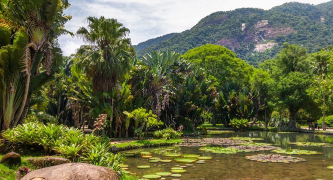 Os melhores parques do Rio de Janeiro