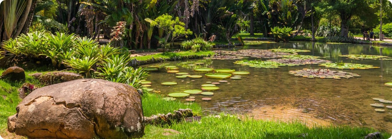 Os melhores parques do Rio de Janeiro